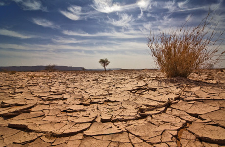 dry_desert-1221